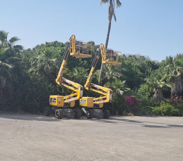 יתרונות מרכזיים של מנוף סל